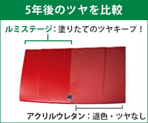 5年後のつやを比較