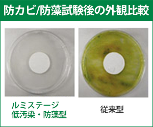 カビや藻が付着しにくい