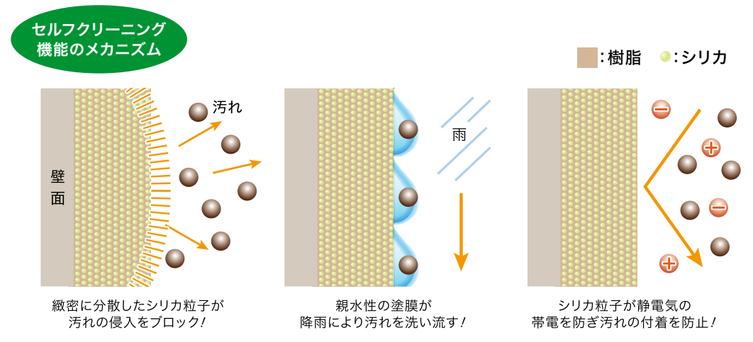 雨で汚れが落ちる