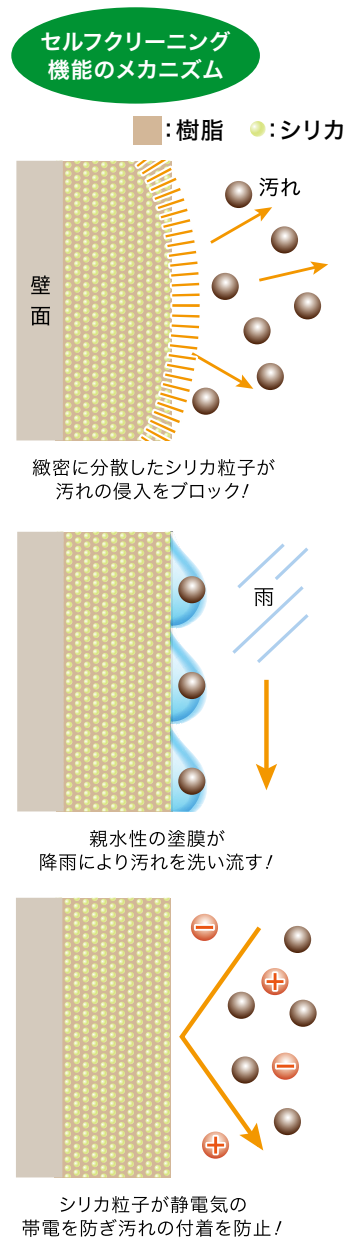 雨で汚れが落ちる