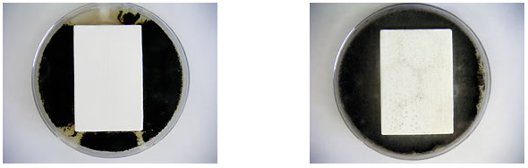 防カビ・防藻性