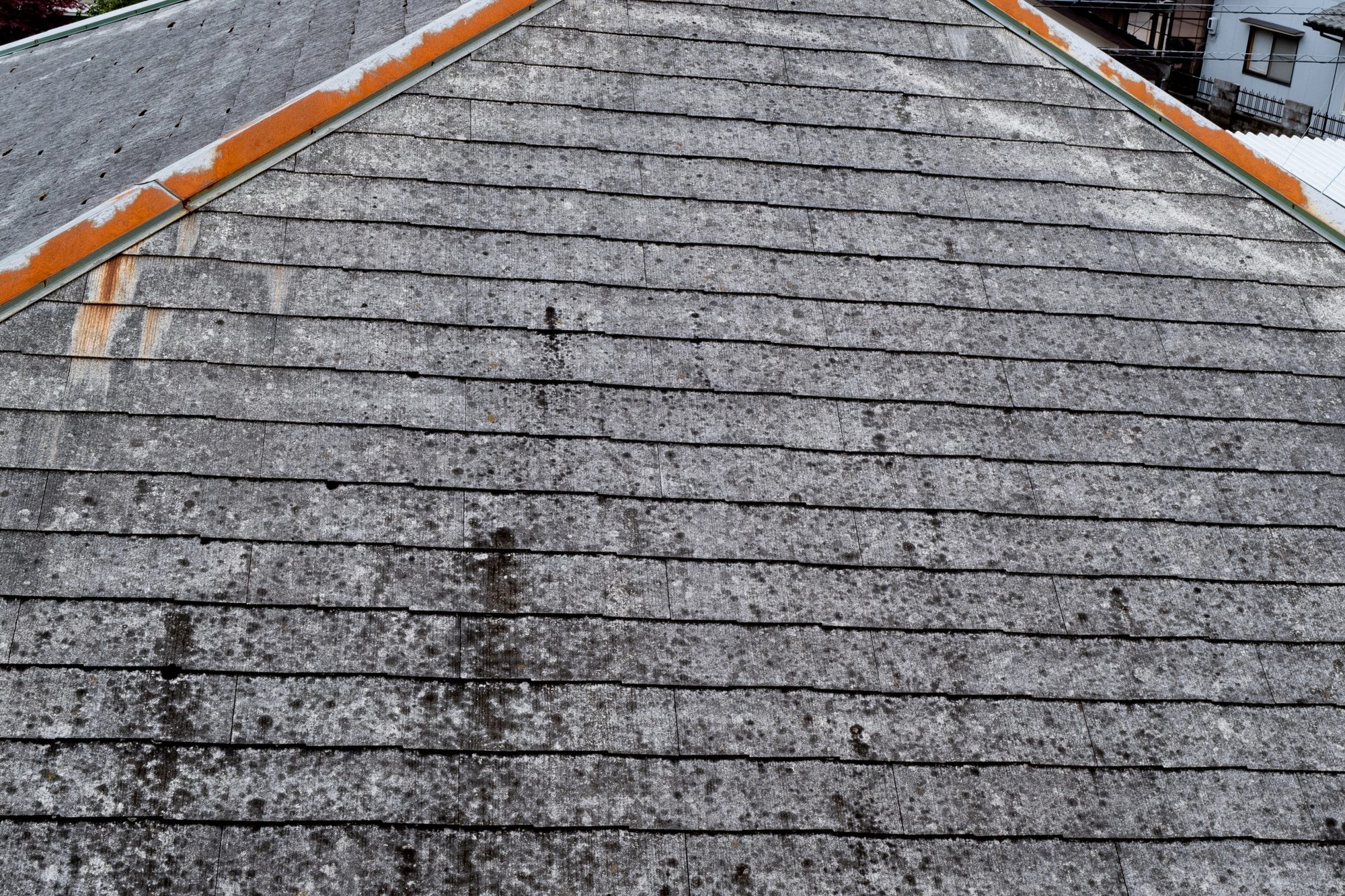 屋根のカビ