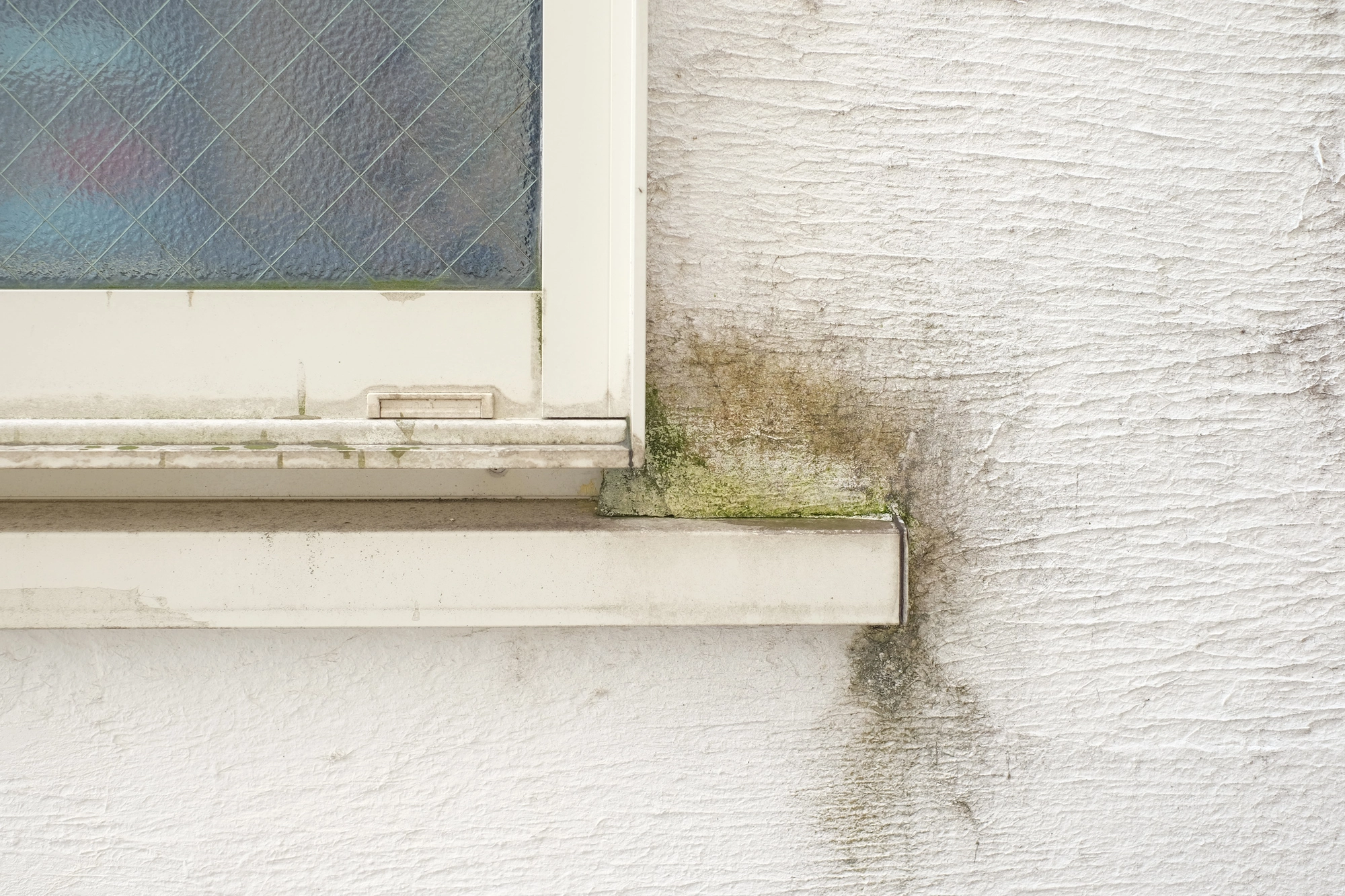 外壁の色あせ・はがれ