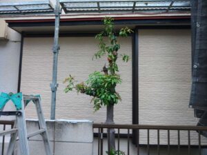 松戸市で外壁塗装、屋根塗装や改修工事を進めています。