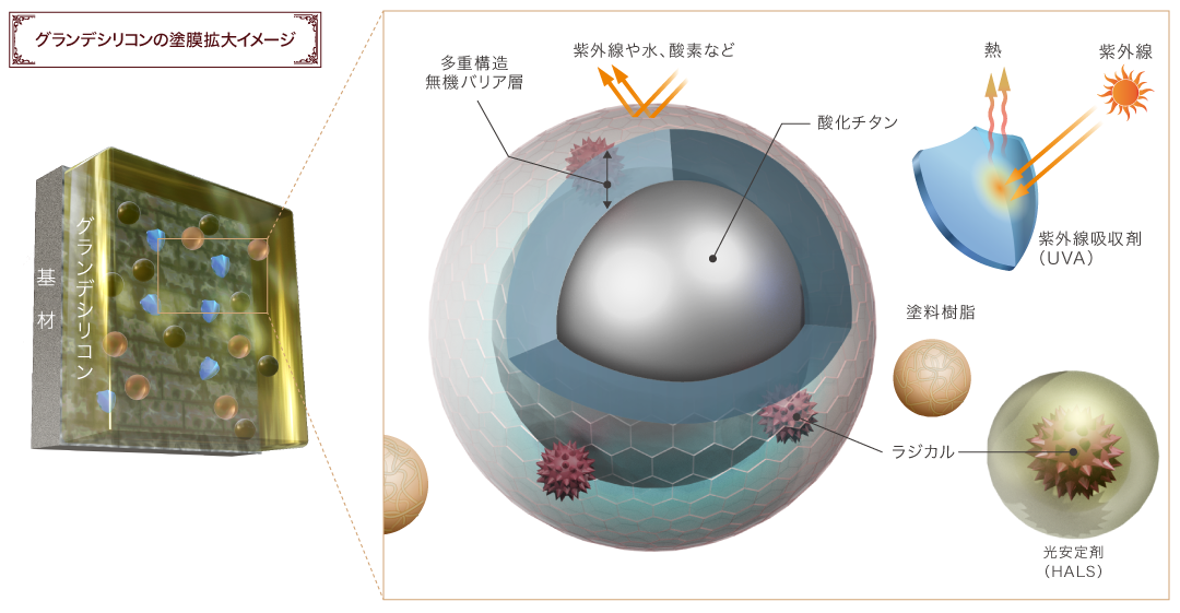 グランデシリコンの塗膜拡大イメージ