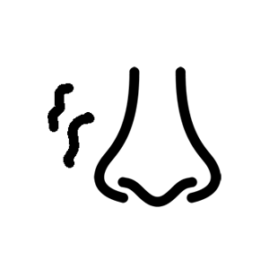 臭気・VOCが少ない