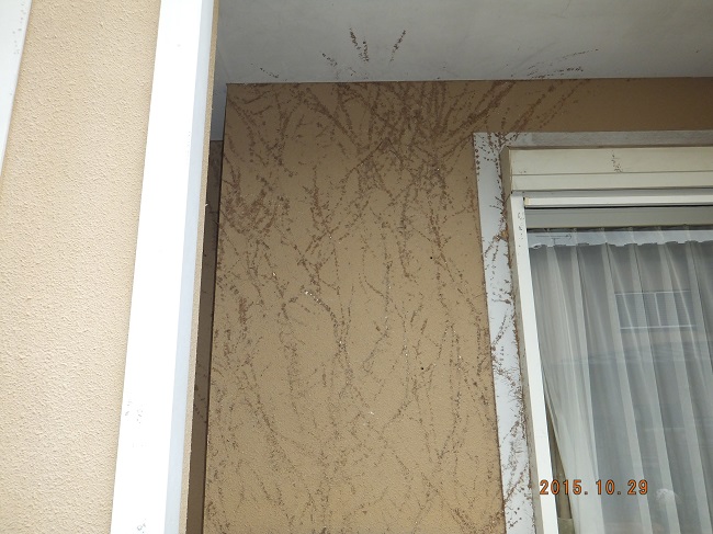 下地”つた”の処理