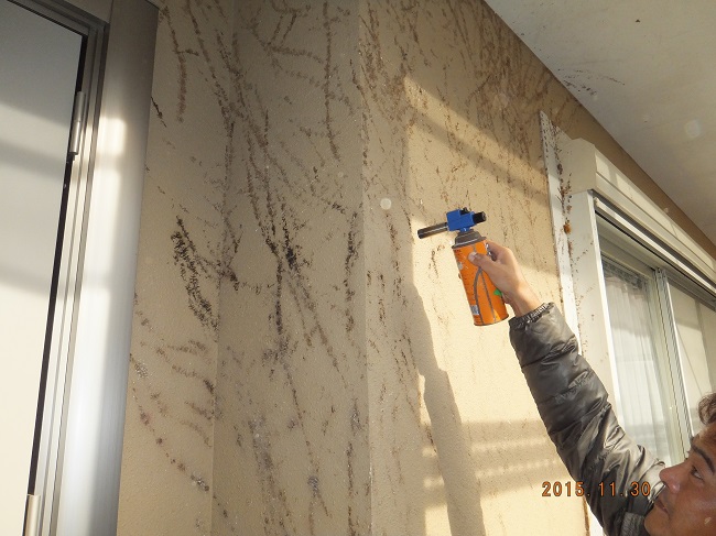 ツタをバーナーで焼く