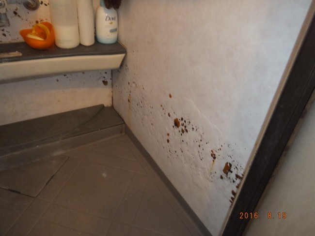 ユニットバス交換前